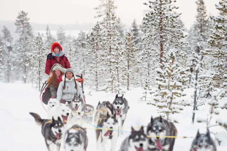 Dogsledding adventure Jokkmokk, Northern Lights City Break Luleå, Lapland Kiruna