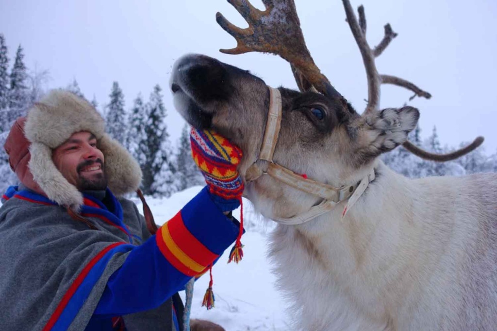Lapland Aurora Adventure
