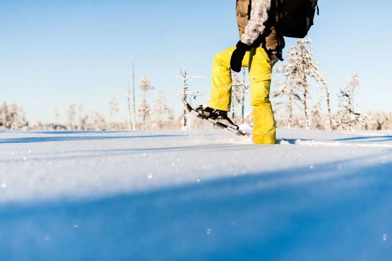 Snowshoe walking in nature Luleå Winter Break, Swedish Lapland Winter Holiday