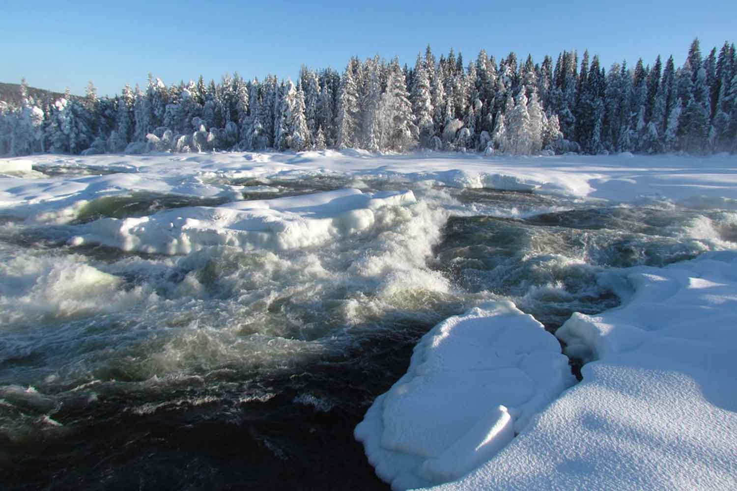 Lulea day tour Storforsen