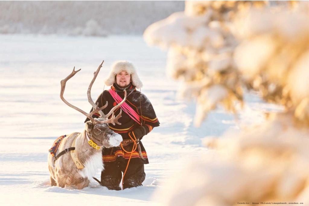Sami-reindeer-kiruna-nutti-Swedish-Lapland-Retreat, Christmas Swedish Lapland