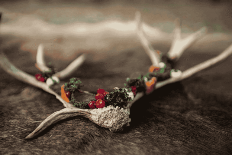 Gatronomy at ©Treehotel Swedish Lapland Retreat