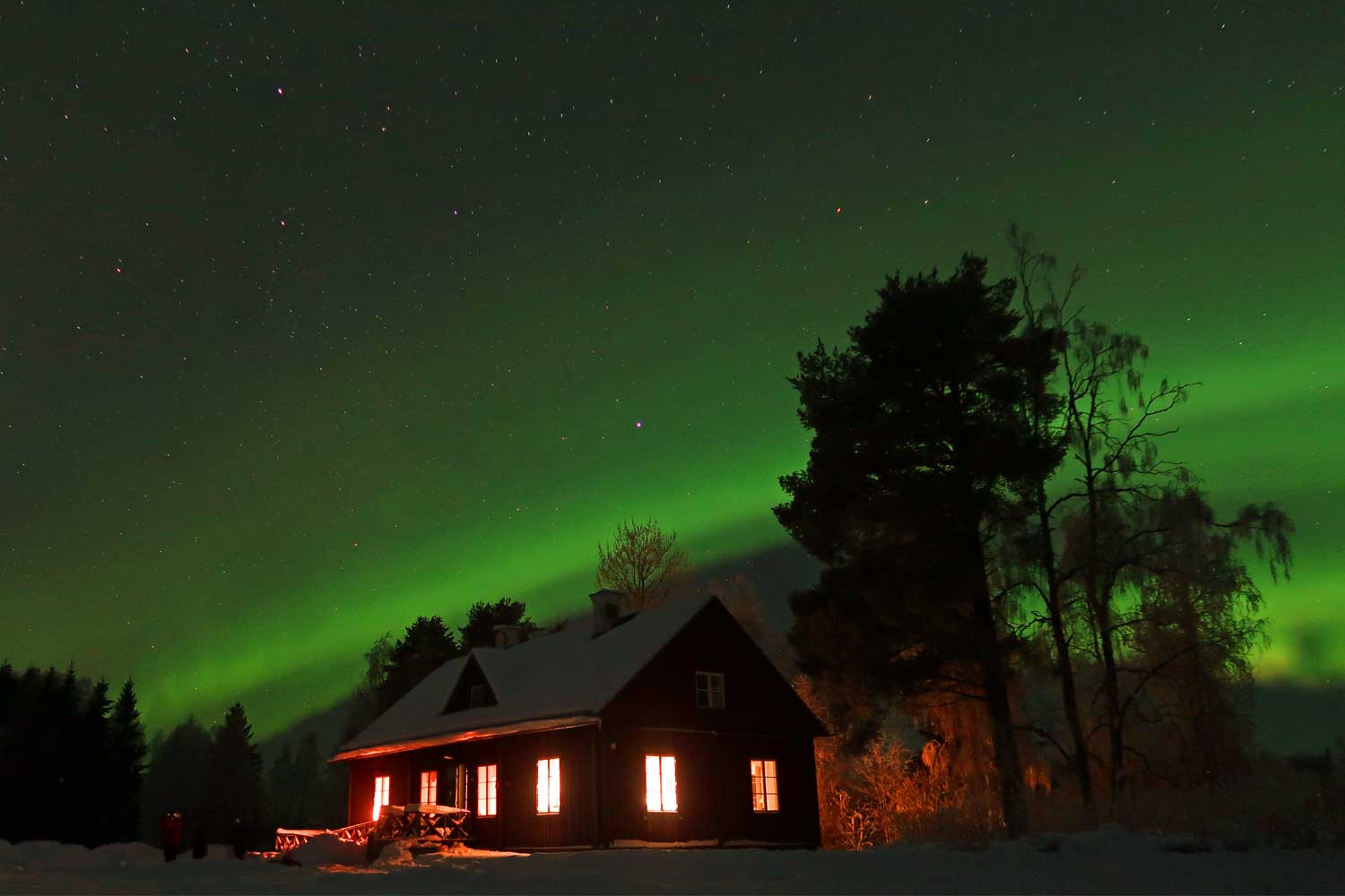 Northern-Lights-dinner-tour lulea
